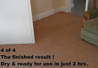 Cleantec carpet and upholstery care 358821 Image 1